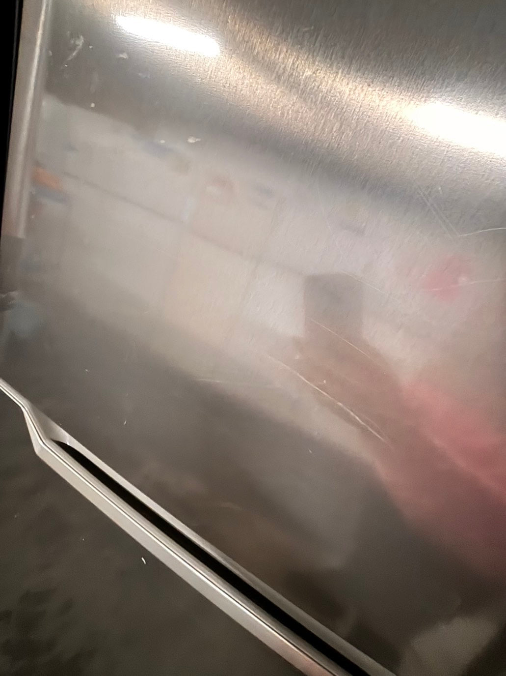 >insignia top freezer refrigerator stainless steel 24" refurbished #RF743BB