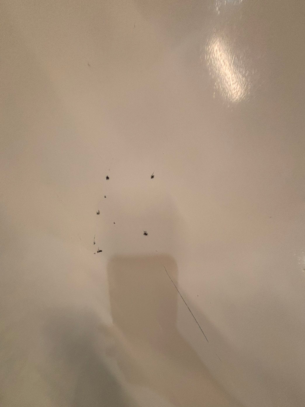>*kenmore 33” Top freezer fridge   White working 💯  used-refurbished #RWWK7B