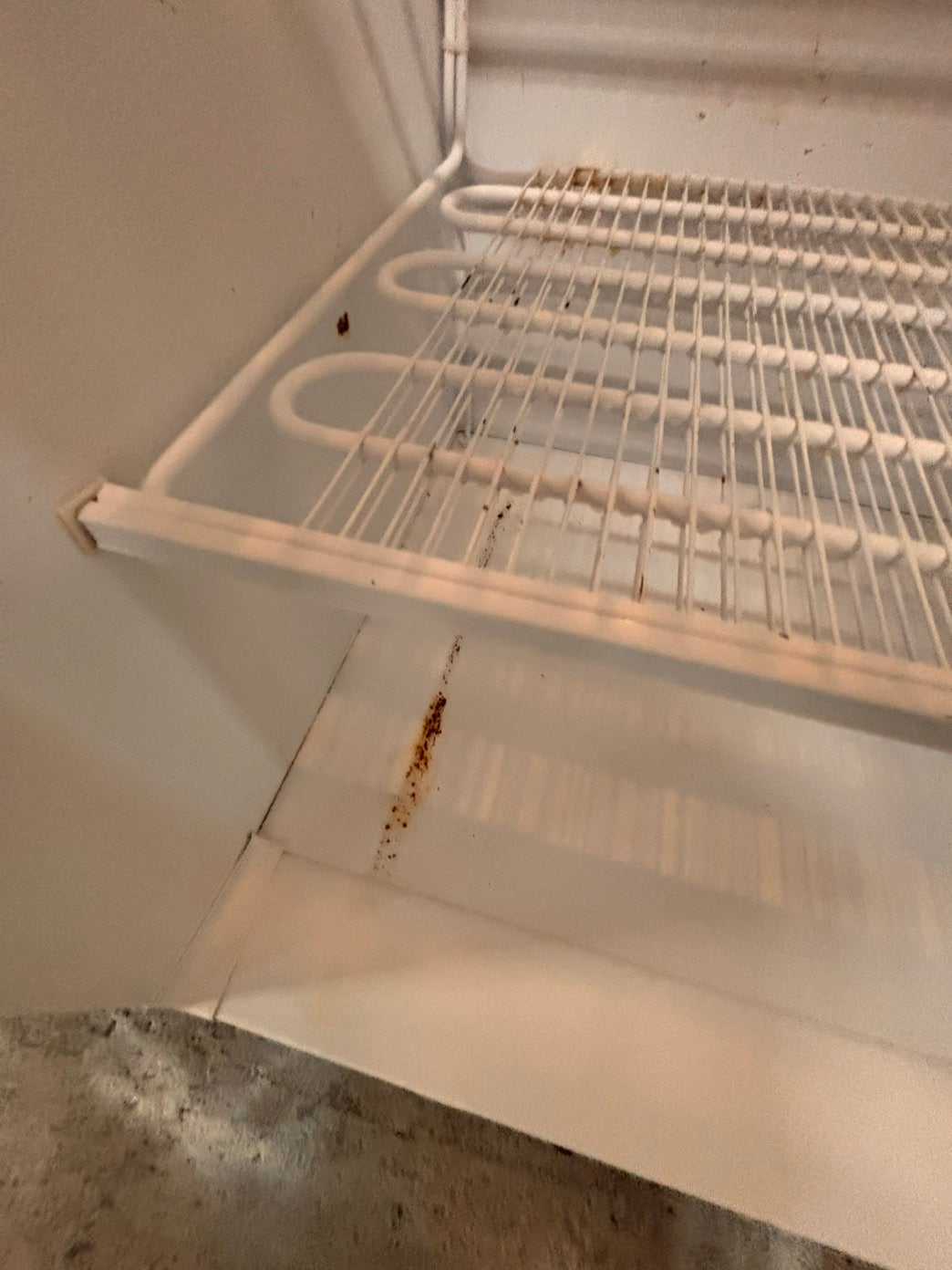 >*kenmore 21cu.ft (it’s not froost free).          up-right freezer white 20cu.ft Refurbished-used #RFS1ZXB