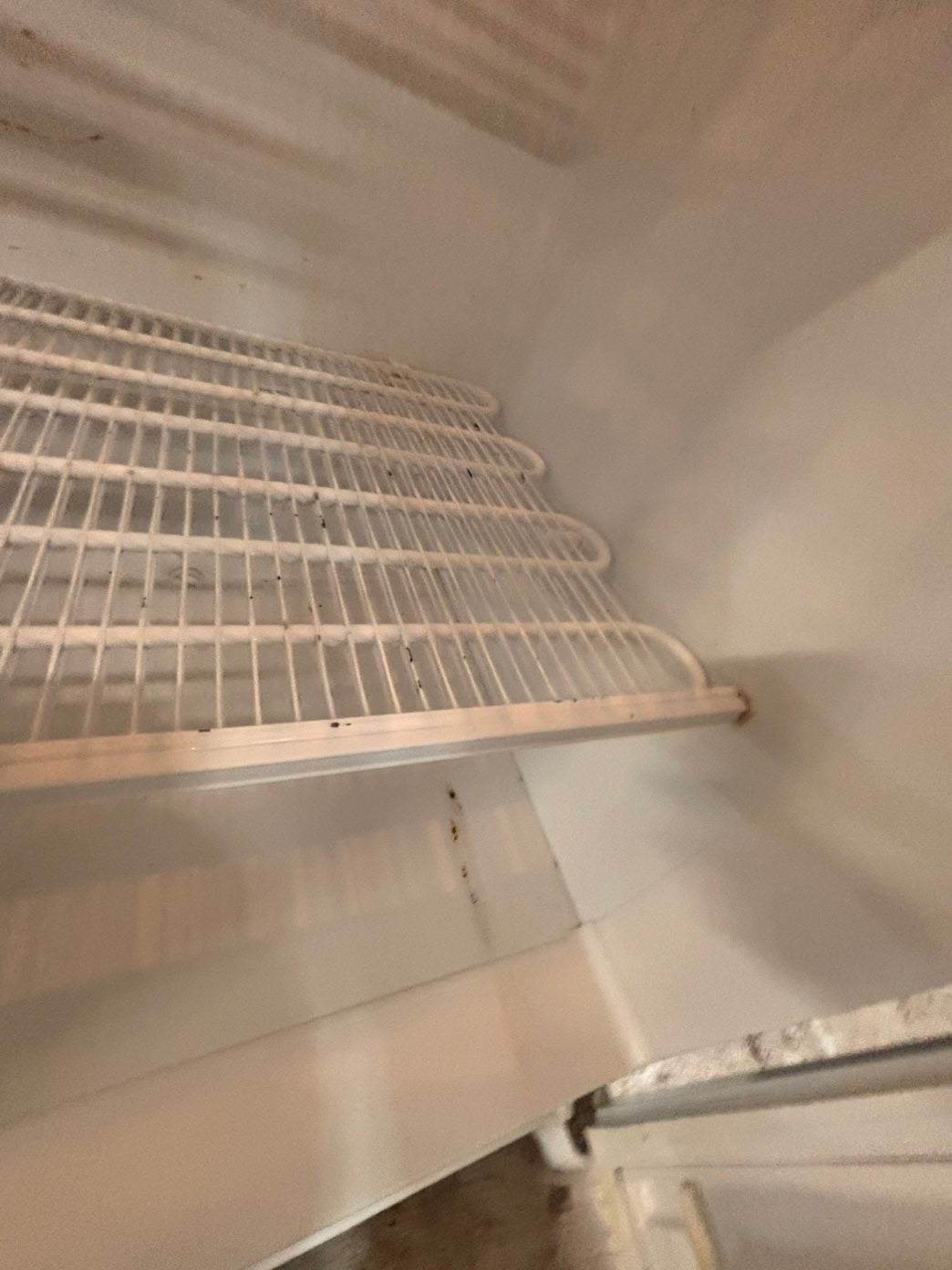 >*kenmore 21cu.ft (it’s not froost free).          up-right freezer white 20cu.ft Refurbished-used #RFS1ZXB