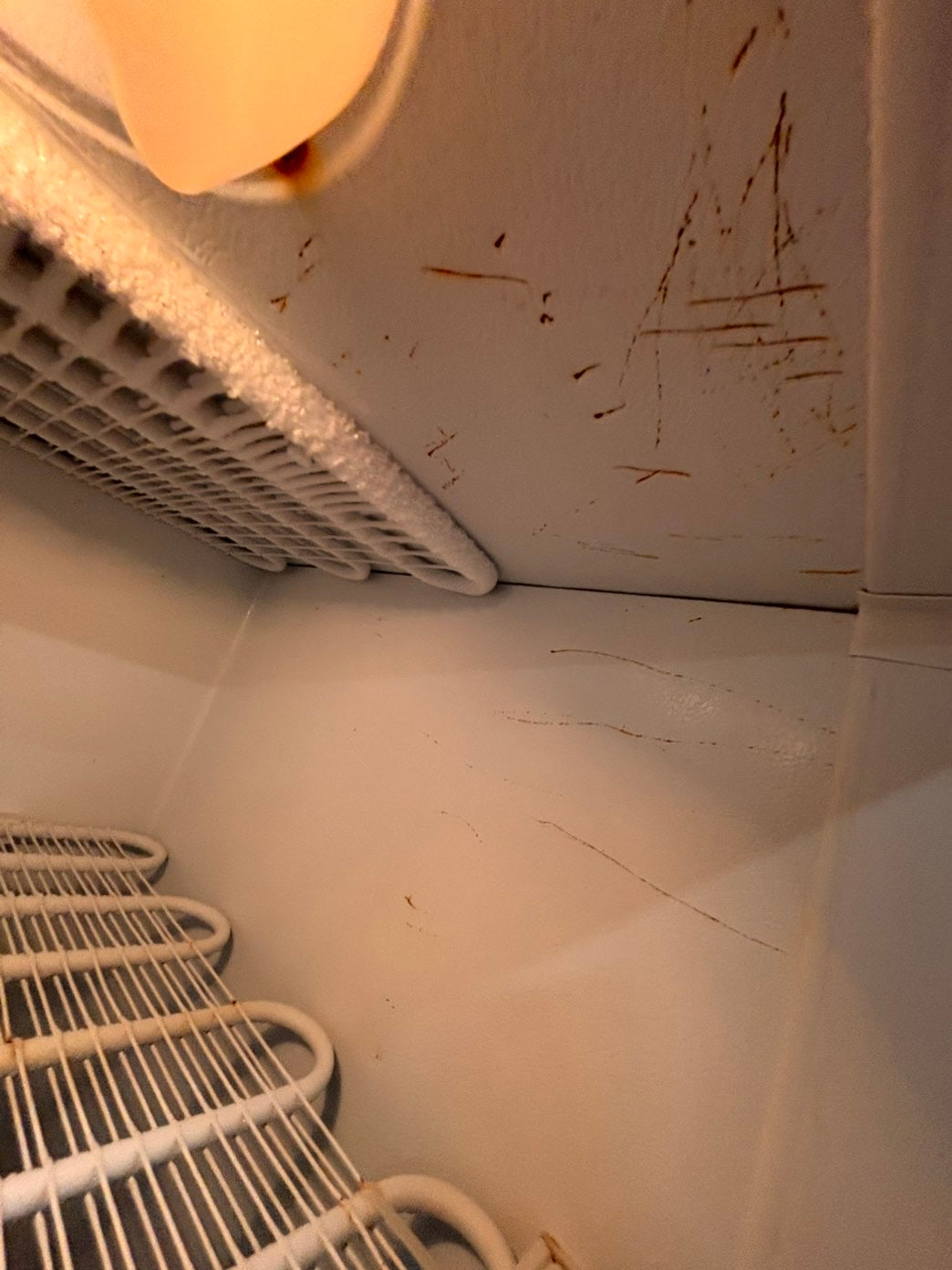 >*kenmore 21cu.ft (it’s not froost free).          up-right freezer white 20cu.ft Refurbished-used #RFS1ZXB